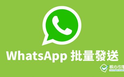 WhatsApp 批量發送，輕鬆用程式完成！